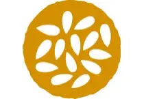 Nutritional Oils